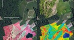Tuckaway Silvopasture and Cottontail Thickets