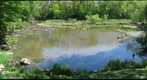 Audrey Milligan Pond
