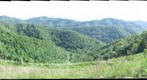 West Virginia Hills