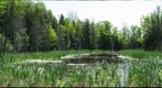 Bear Creek Wetlands