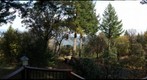 Napa View with fog in the main Valley