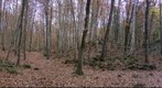 La Fageda d'en Jorda