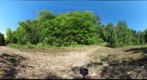 St. Williams Conservation Reserve - Manestar Tract