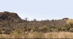mapungubwe hill - World Heritage Site