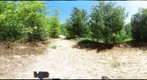 St. Williams Conservation Reserve - Manestar Tract 2