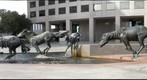 Mustangs of Los Colinas
