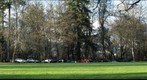 Tailgating before the OSU-UO football game, Corvallis, Oregon, USA