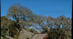 Blue sky