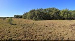 New Phenocam Site on the Logan river near Brisbane