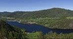 Kviteseid from Striplefjell
