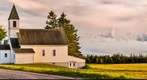 Pine Tree Church