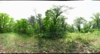 Karner Blue Sanctuary - Corridor