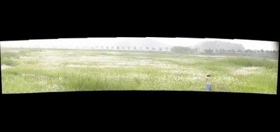 131860-400x189