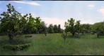 Abandoned Orchard - full panorama