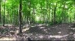Dairy Bush GigaPan - 196 – June 05 2013