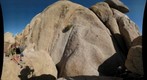 Joshua Tree Climbers