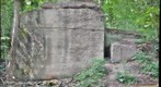 Aquia Creek Sandstone (2)