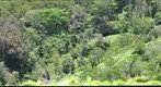 Waimea Photopoint 1