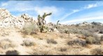 Joshua Tree National Park