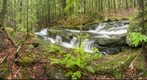 Lower Cascades