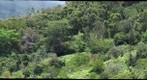 Waimea Photopoint 1