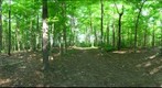 Dairy Bush GigaPan - 198 – June 19 2013