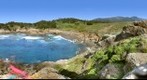 Point Lobos