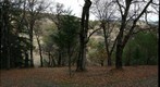 South Fork Water Shed
