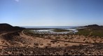 Saladar en Isla de Lobos. Islas Canarias.