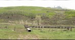 Awaiting Cattle