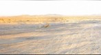 2 - mojave tires