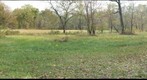 Gettysburg Battlefield: Spangler Meadow