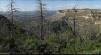 Mesa rim forest and valley view