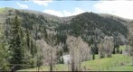 Meadow, River and Aspens