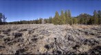 20081206 Fish Creek Meadow