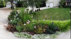 Gale's Garden 1