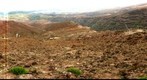 USGS Kawela, Molokai erosion study - inside the fence, 1Dec2008