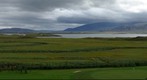 Golf course in iceland at the Borgarnes fjord.