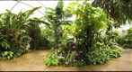 American Orchid Society Greenhouse