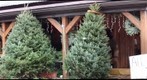 Hozak Tree Farms
