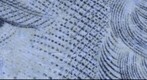 Ten Dollar Test (30 images)
