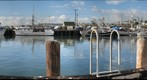 San Pedro Fishing Fleet