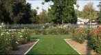 Rose Garden at Fairmount Park, Riverside, California