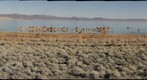 Mono Lake from Test Station Road