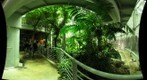 'upload rainforest_floor_11x9 - 0.4.3865 - rainforest_floor_11x9'