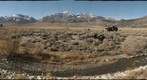 Creek and Cabins II