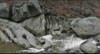 Northwest Branch Stream Rocks (Silver Spring, MD)