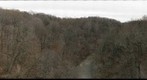 View from Walnut Lane Bridge