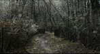 Ice Storm, Carpenter Woods
