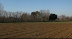 Llagostera and Pyrenees